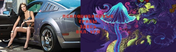 дживик Богородицк